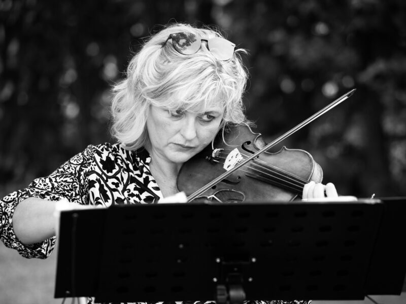 Versatile professional wedding violinist